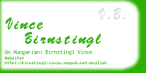 vince birnstingl business card